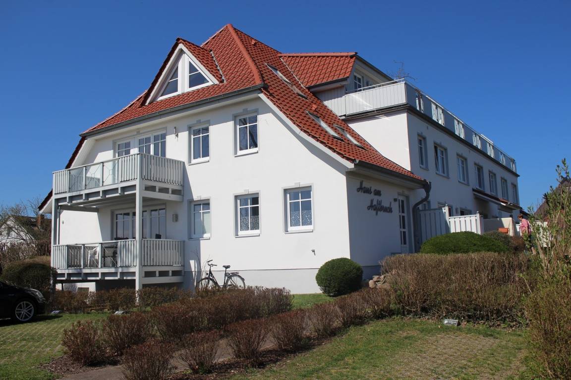 foto11