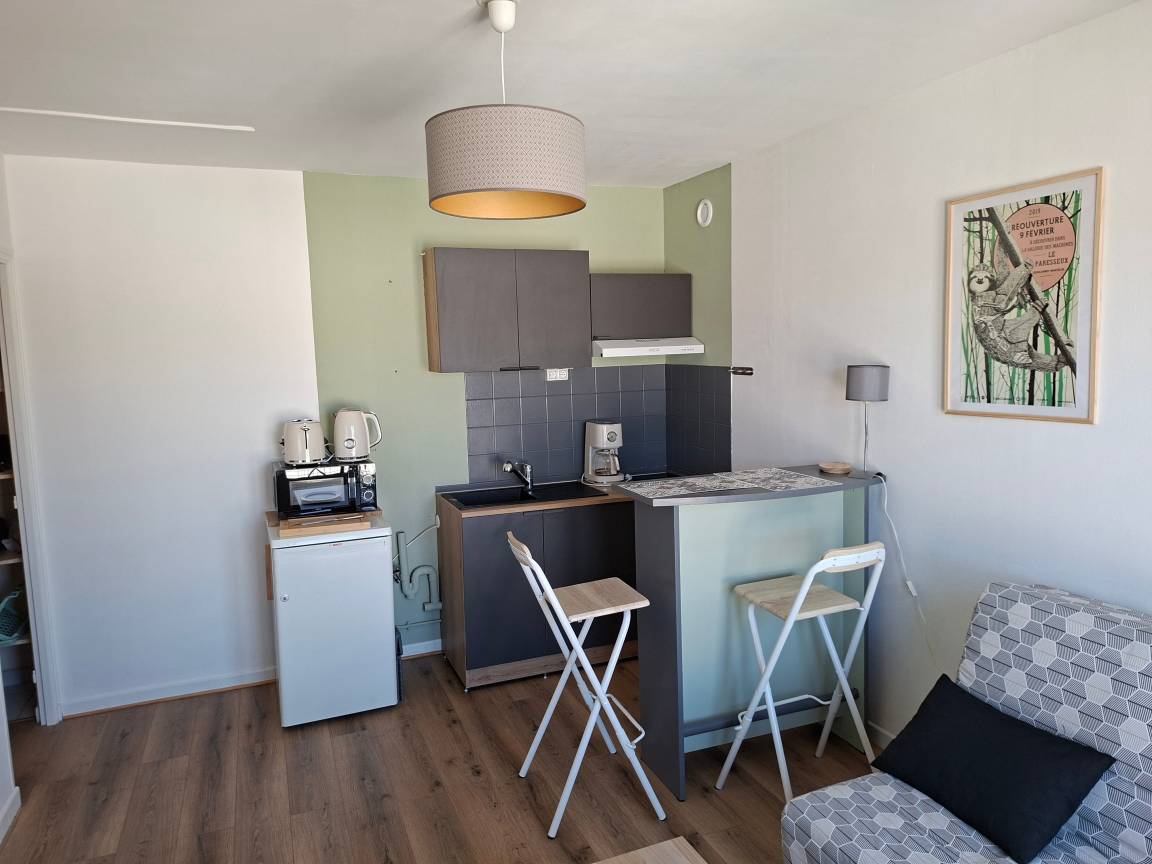 31 M² Appartement ∙ 1 Chambre ∙ 4 Personnes - Carquefou