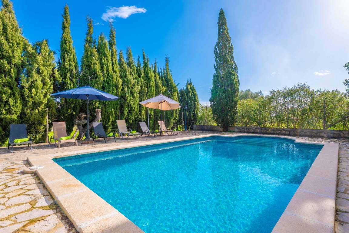 120 M² Villa ∙ 3 Habitaciones ∙ 6 Huéspedes - Selva