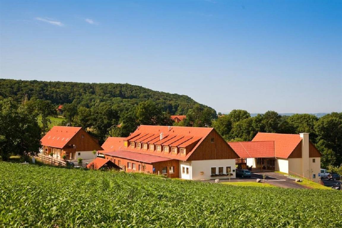 30 M² Hôtel ∙ 1 Chambre ∙ 4 Personnes - Bad Gleichenberg