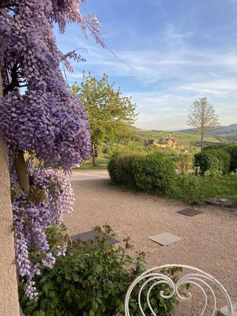 foto16