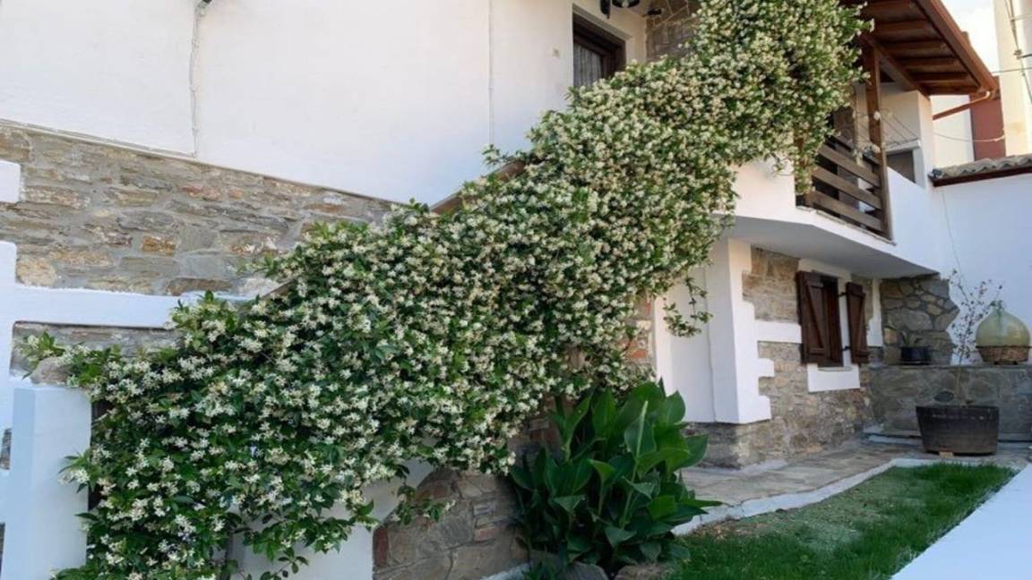 19 M² Ferienwohnung ∙ 2 Schlafzimmer ∙ 5 Gäste - Chalkidiki
