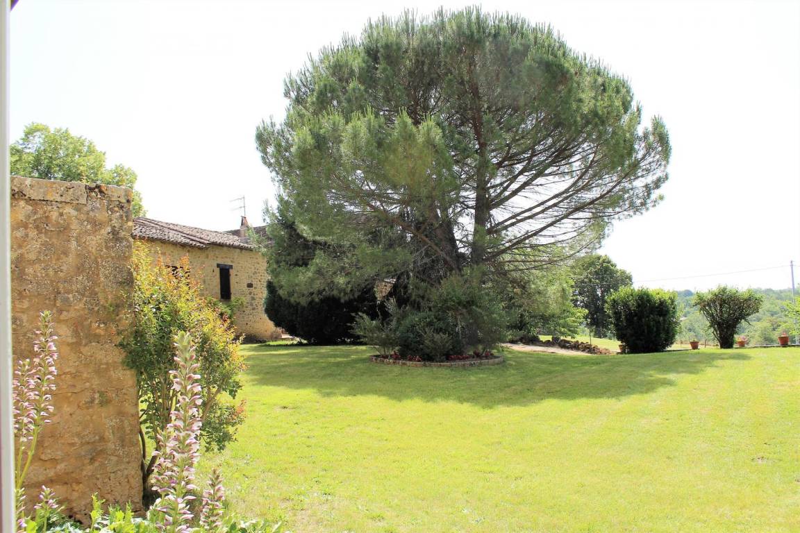 foto4