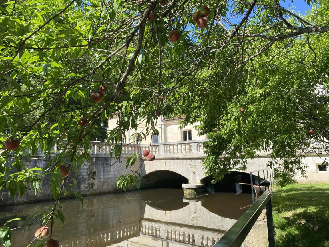 foto46