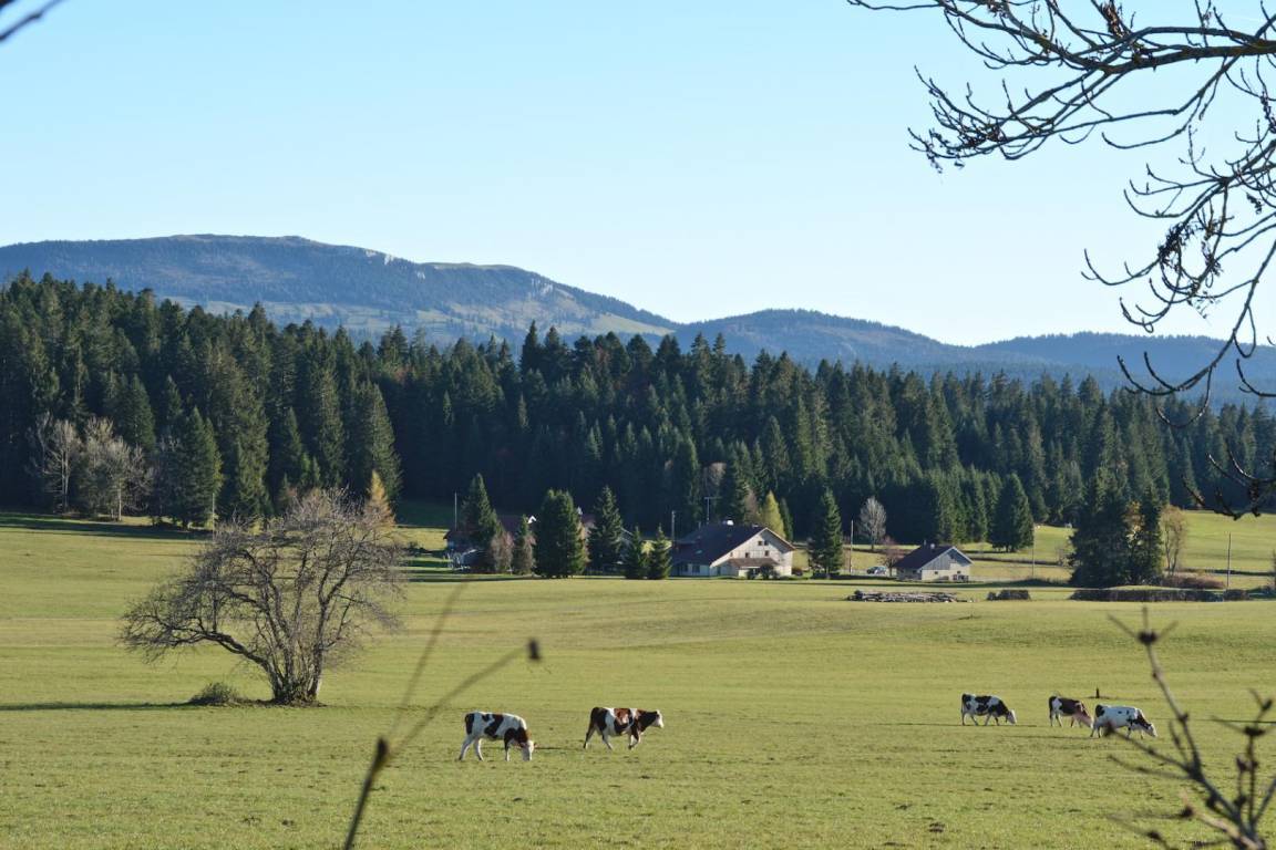 foto13