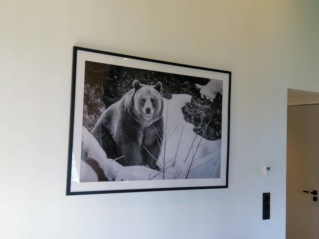 foto9