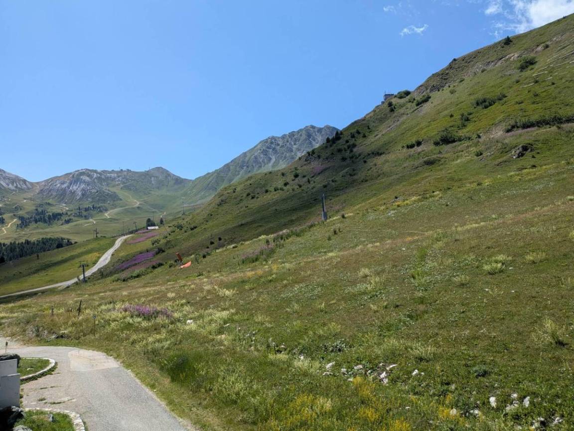 foto16