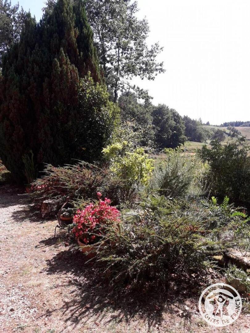 foto20