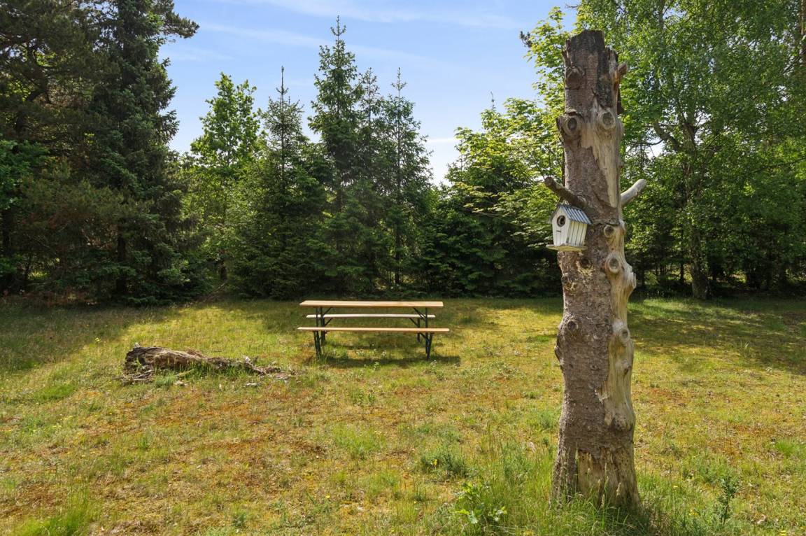 foto21
