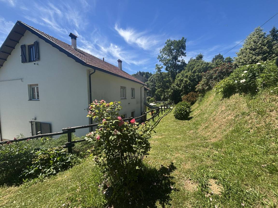 foto29