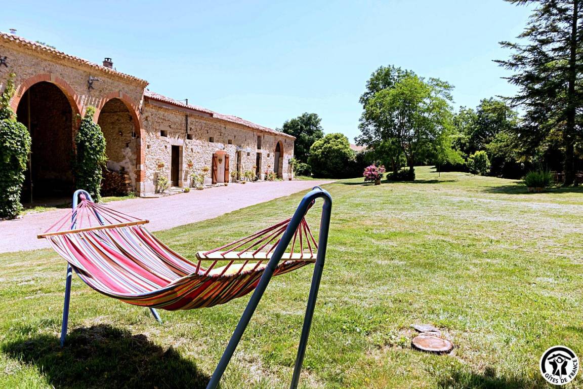 foto21