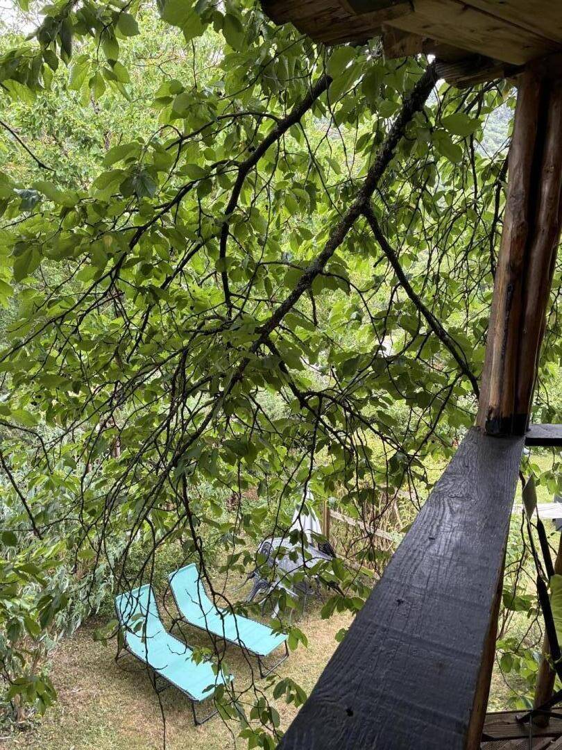 foto16