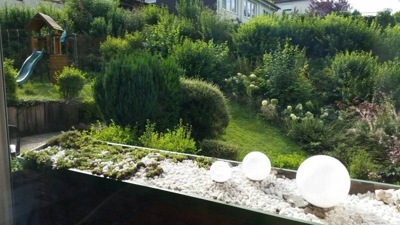 foto8
