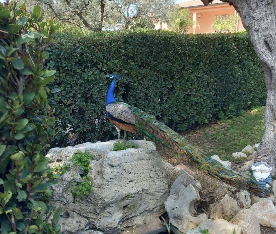 foto31