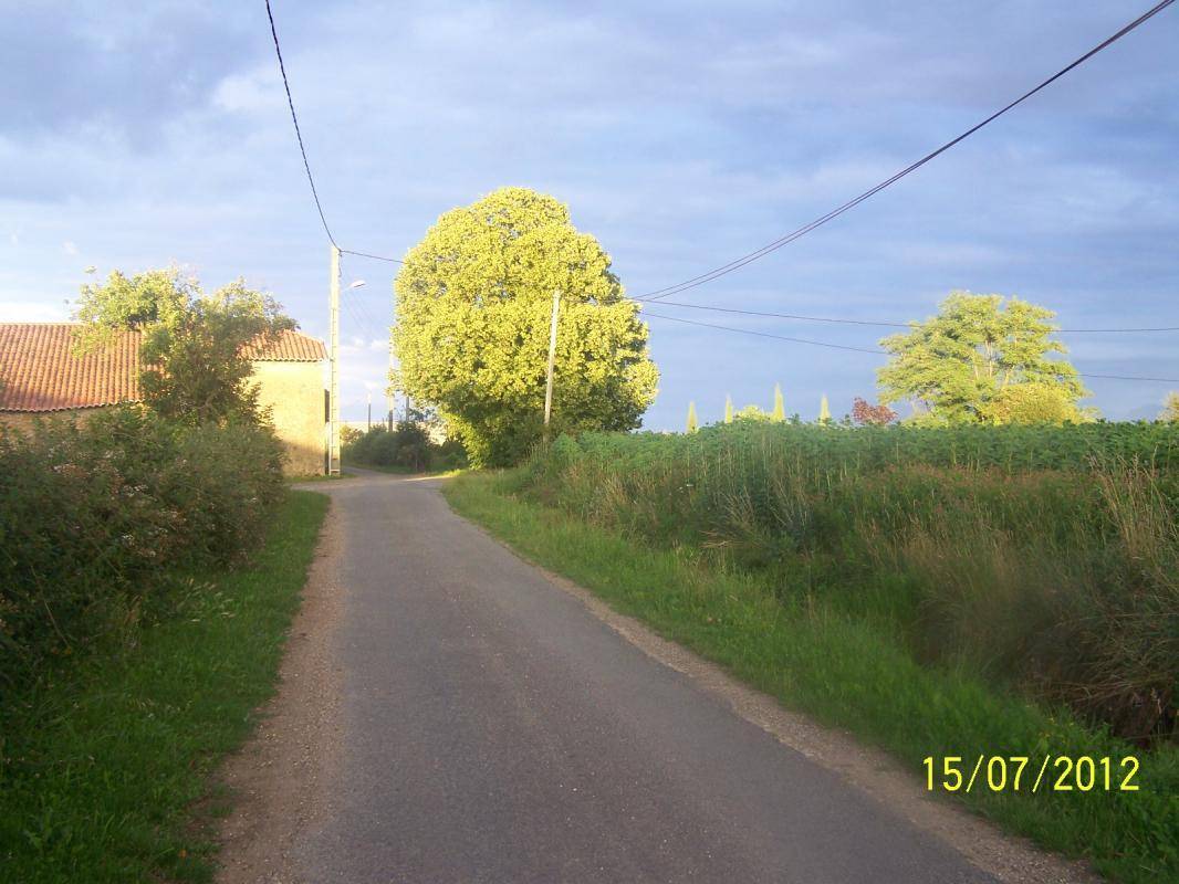 foto45