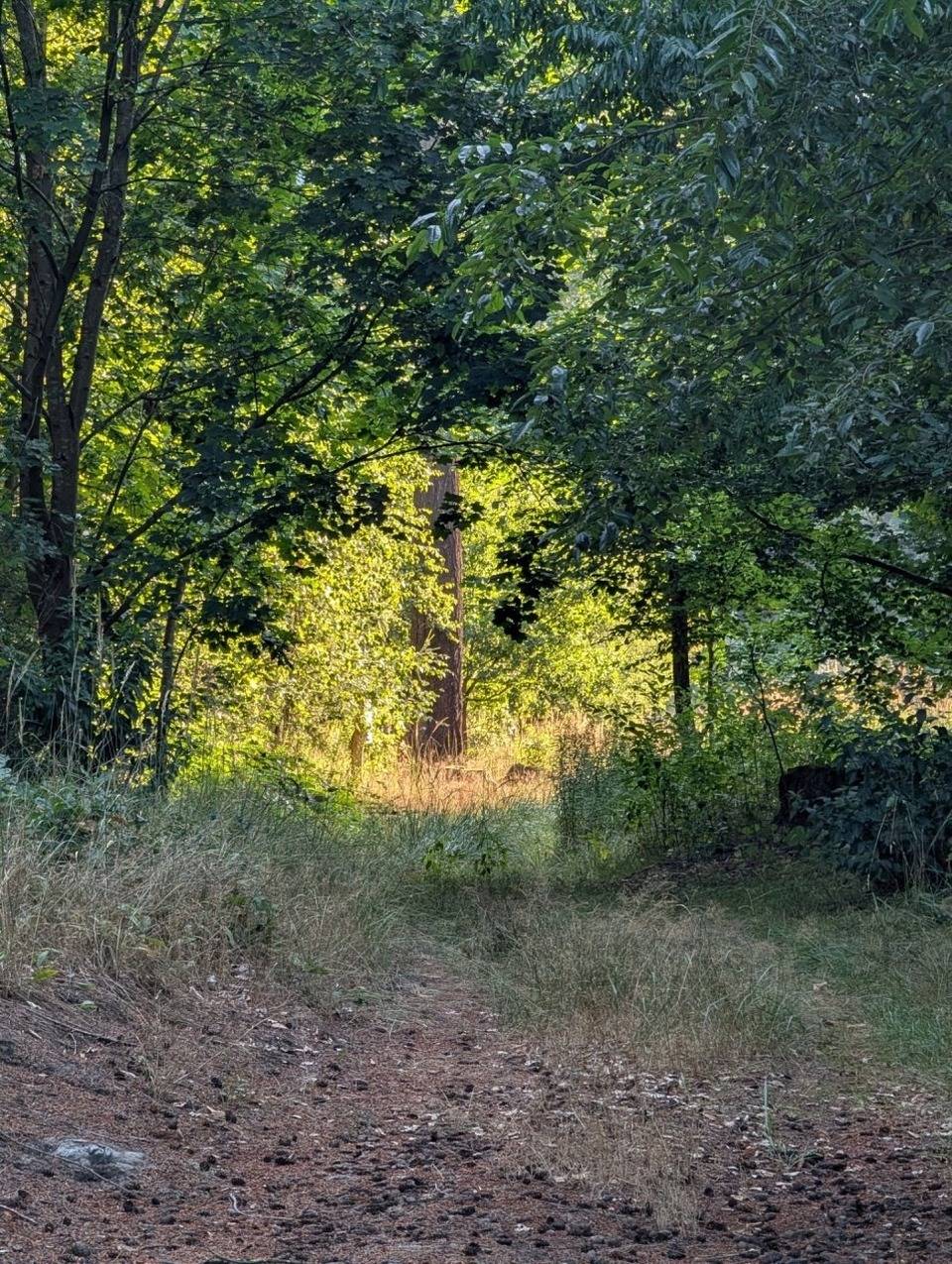 foto21