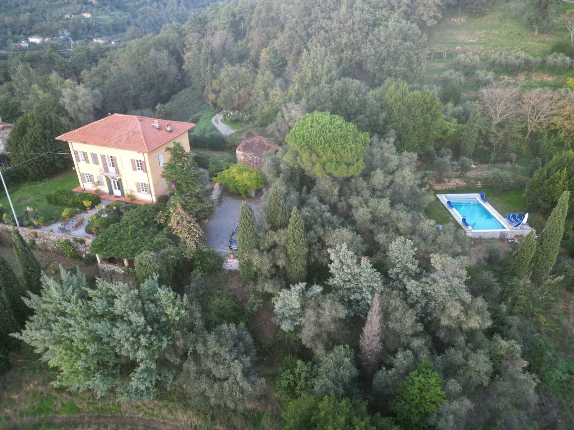 foto47