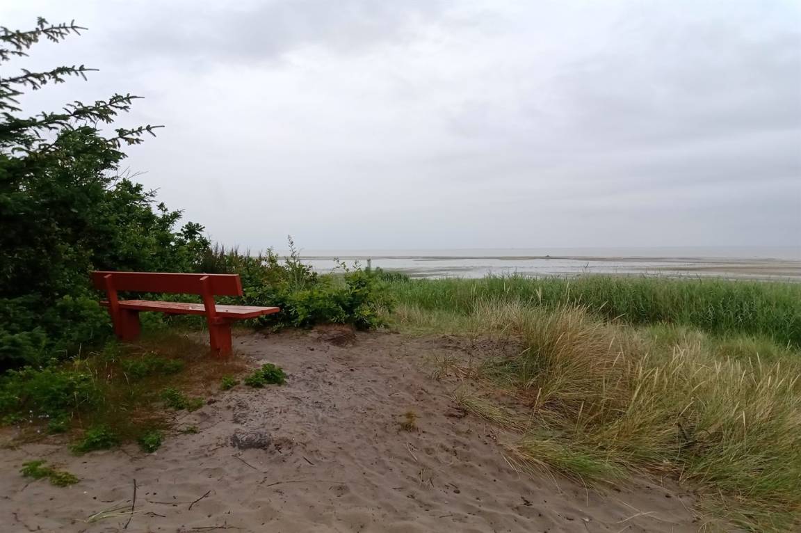 foto21