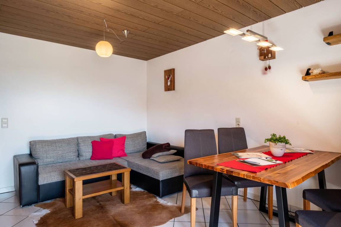 55 M² Appartement ∙ 2 Chambres ∙ 4 Personnes - Titisee-Neustadt