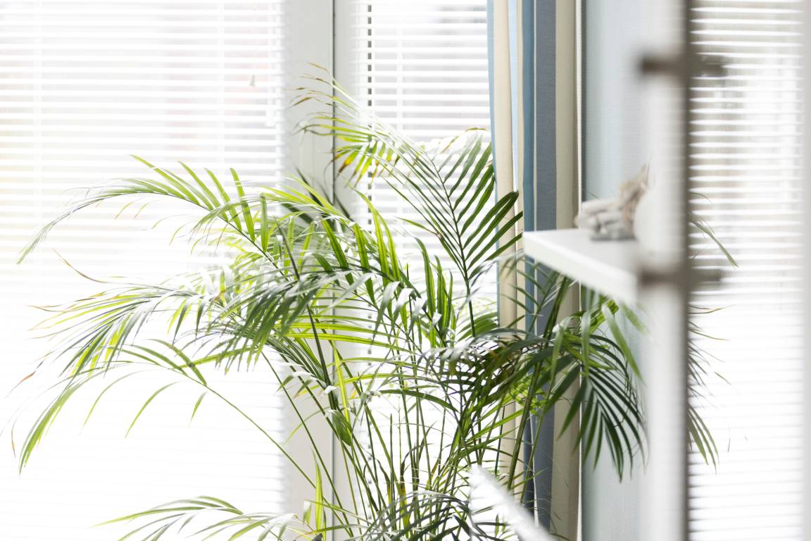 75 m² Ferienwohnung ∙ 2 Schlafzimmer ∙ 4 Gäste – Bild 13