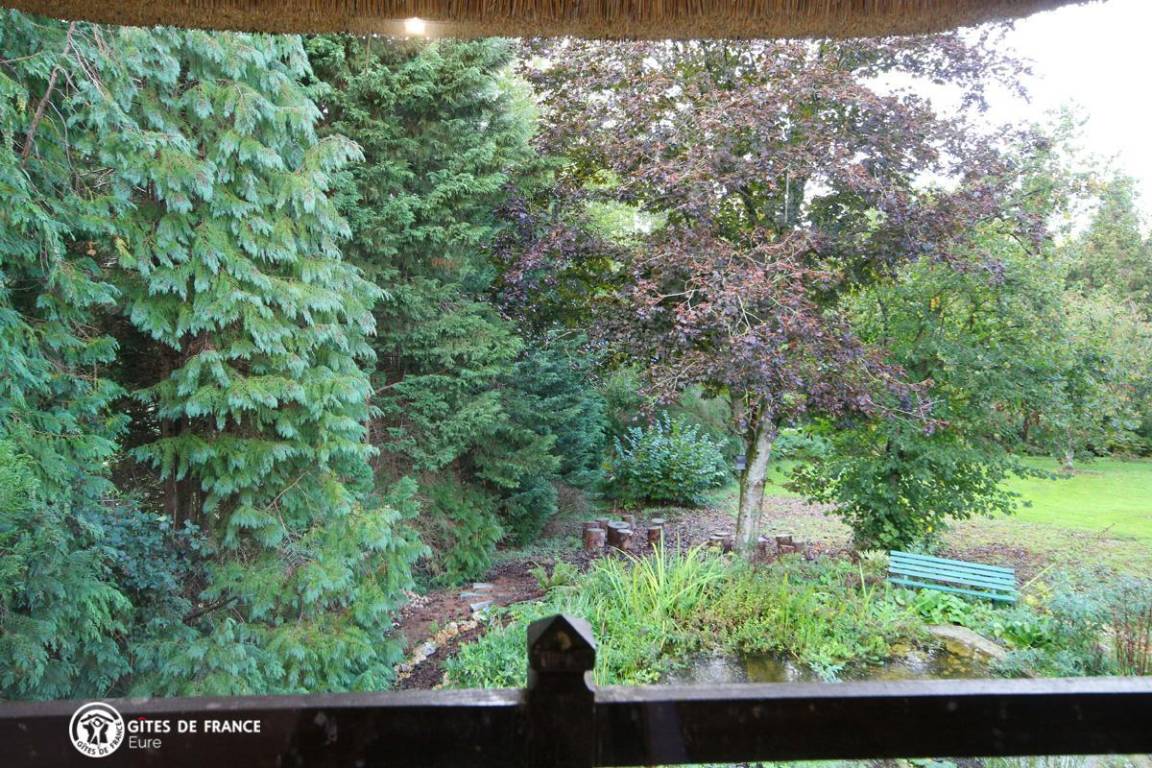 foto26
