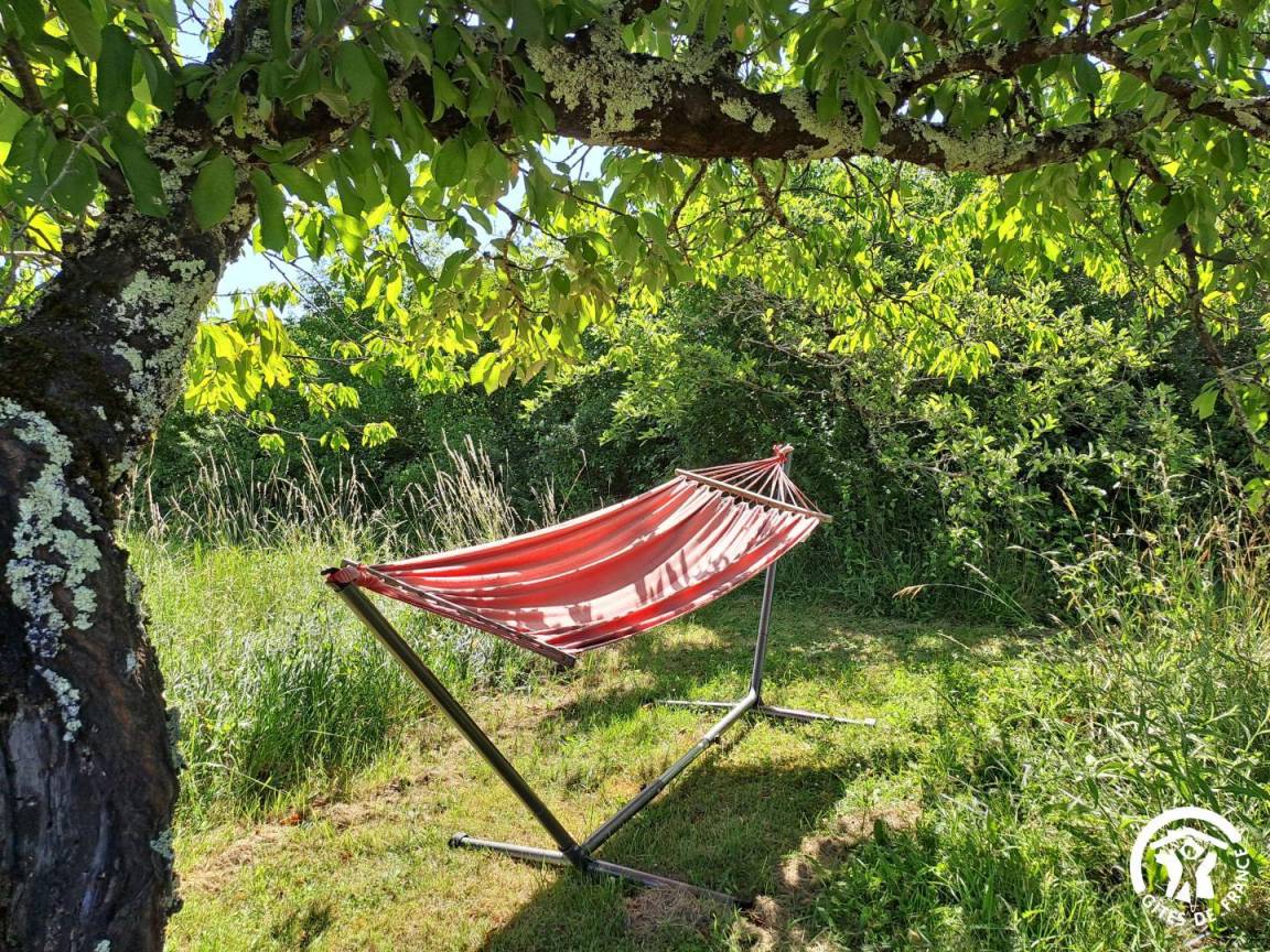 foto42