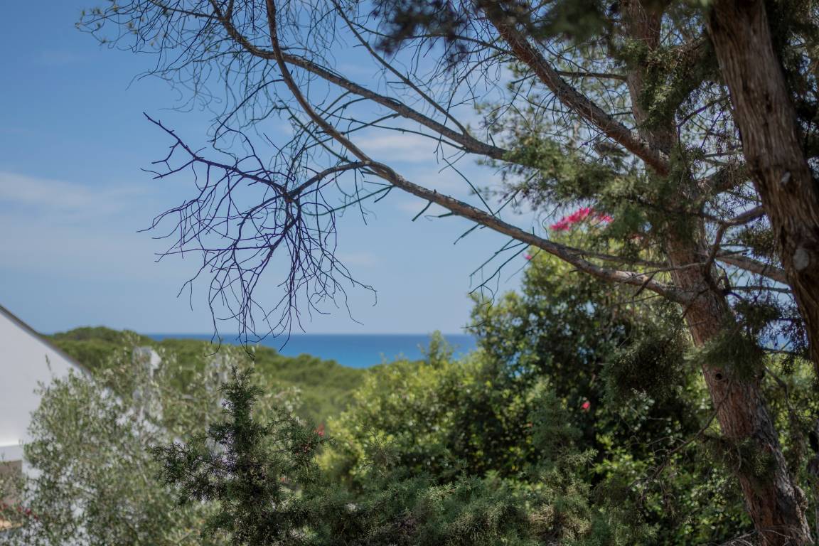 foto21