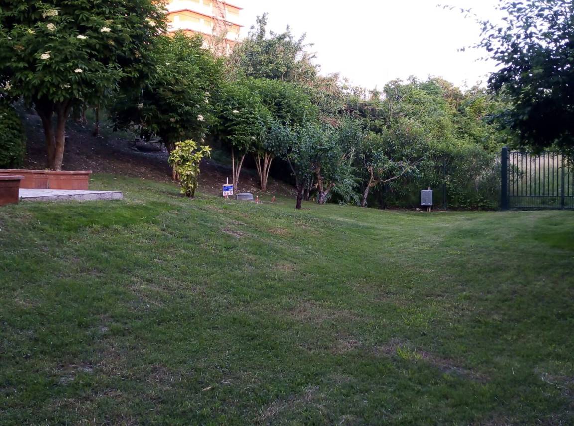 foto2