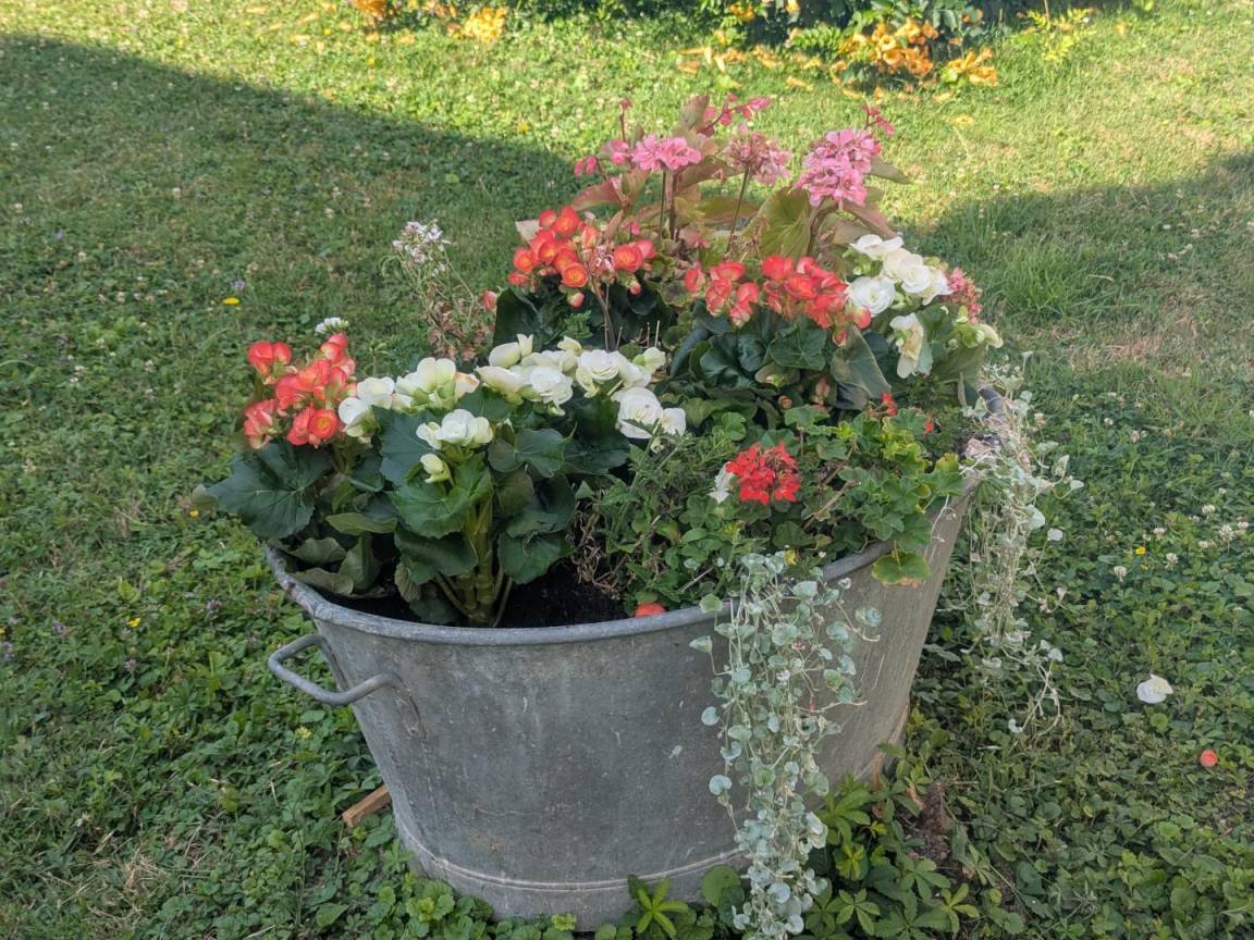 foto32