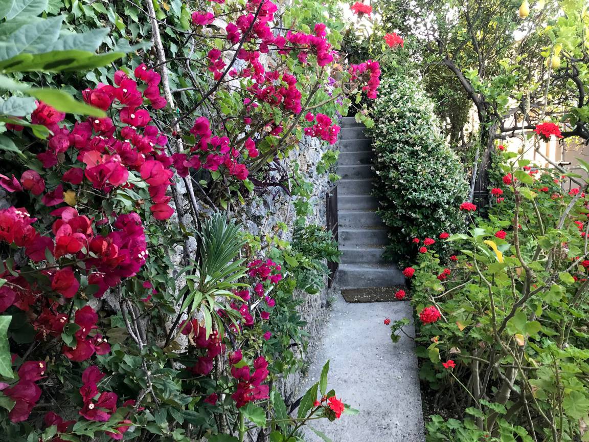foto26
