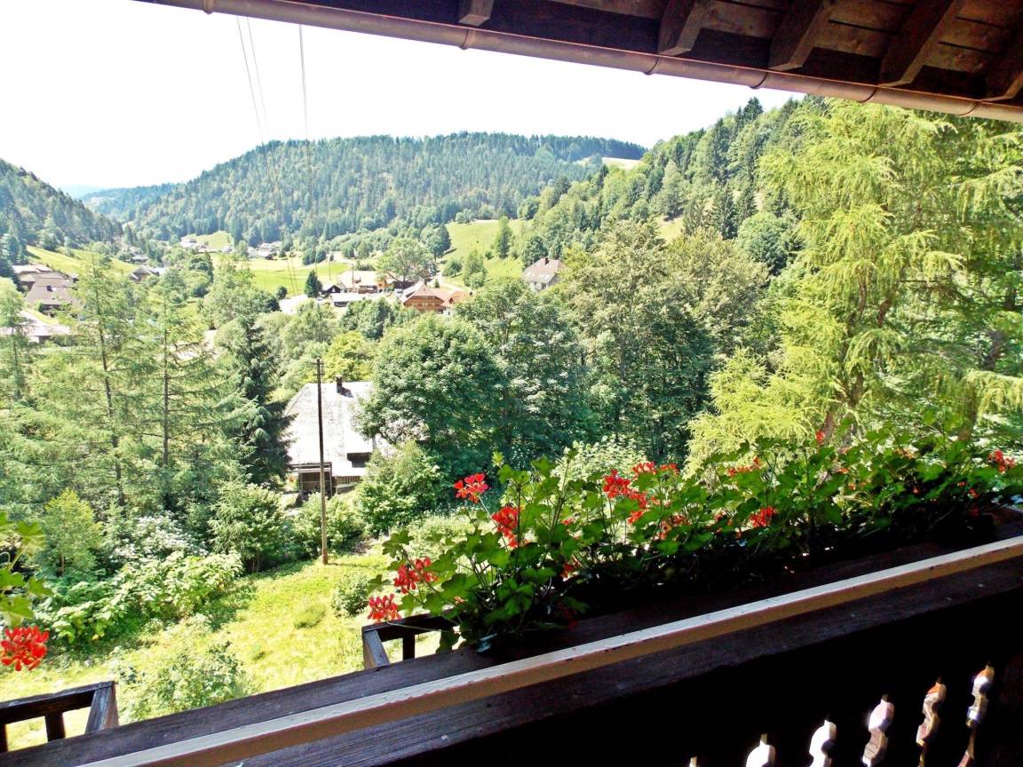 foto2