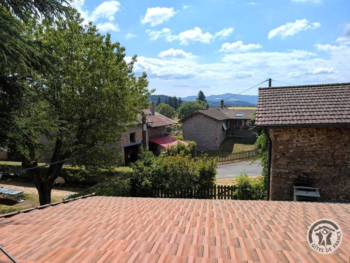 foto19