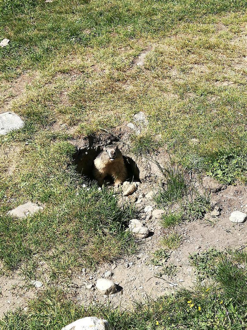 foto38