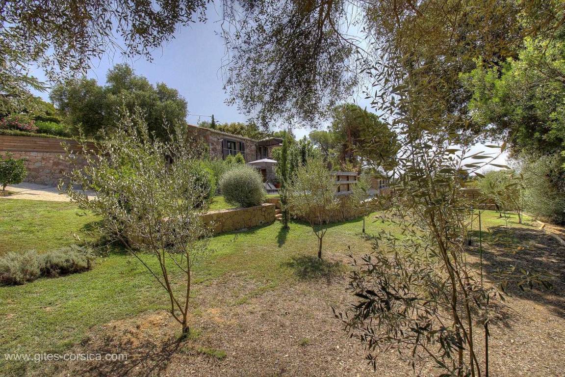 foto42