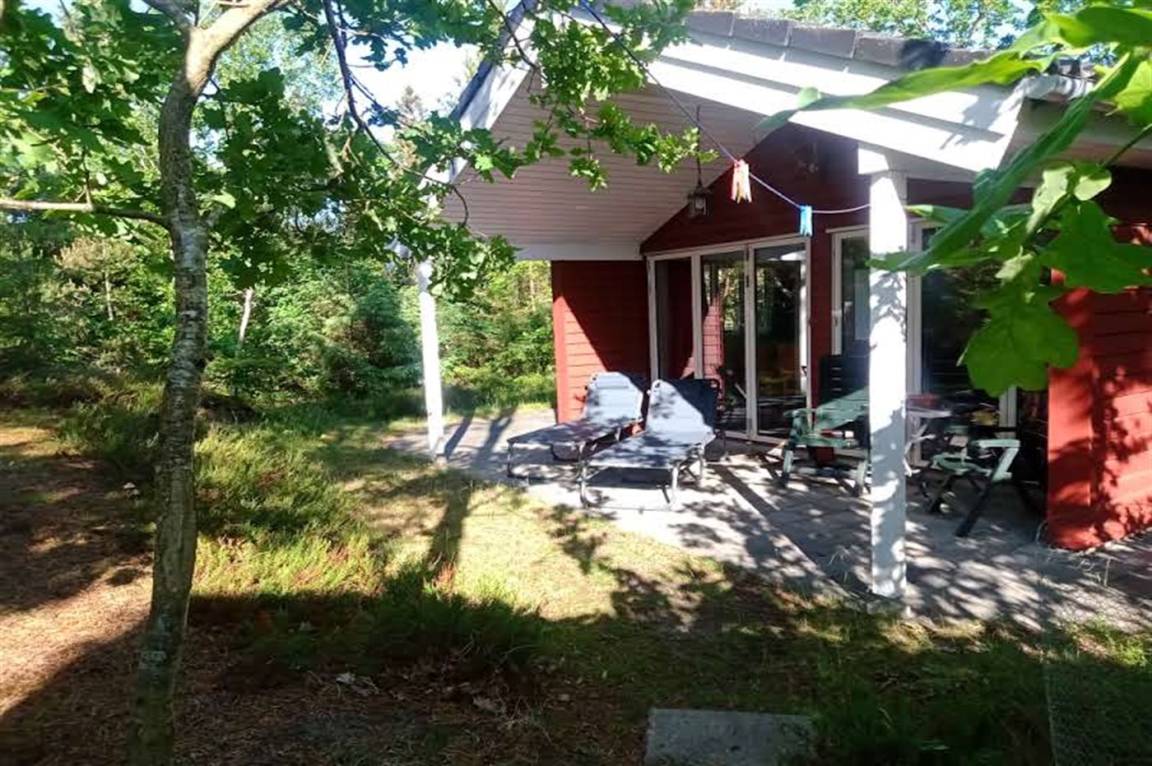 foto18