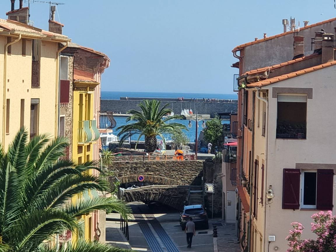 39 M² Appartement ∙ 1 Chambre ∙ 3 Personnes - Collioure