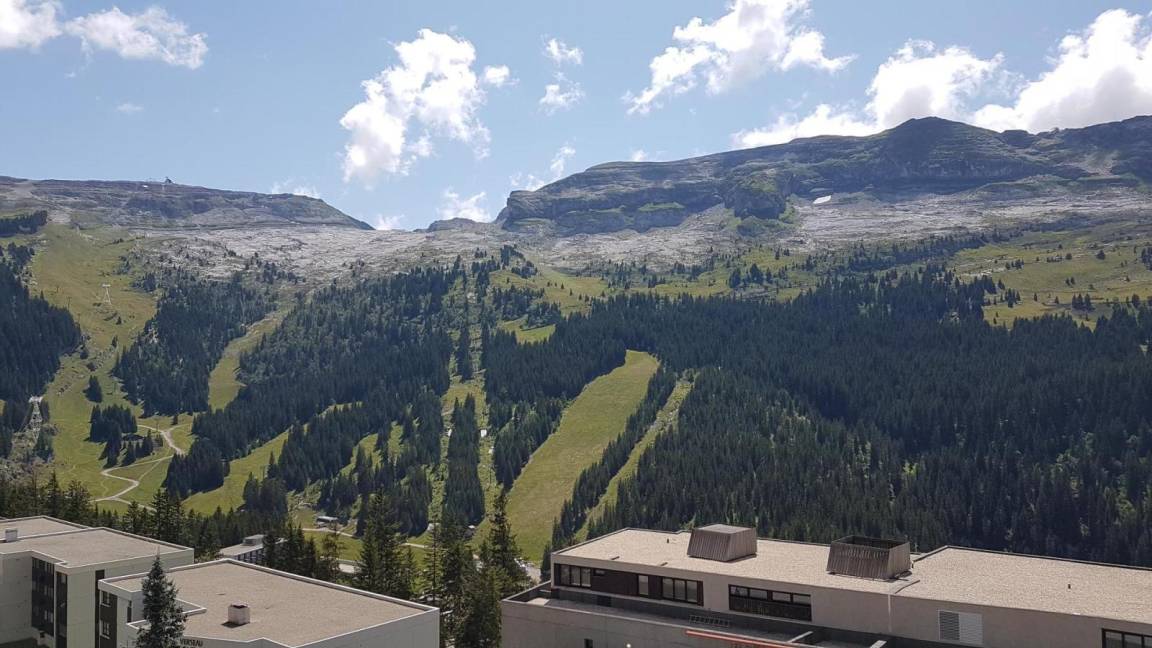 foto11