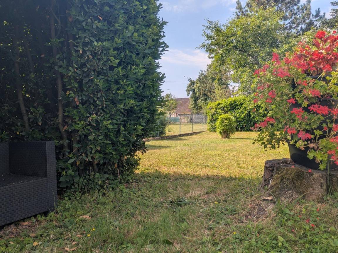 foto34