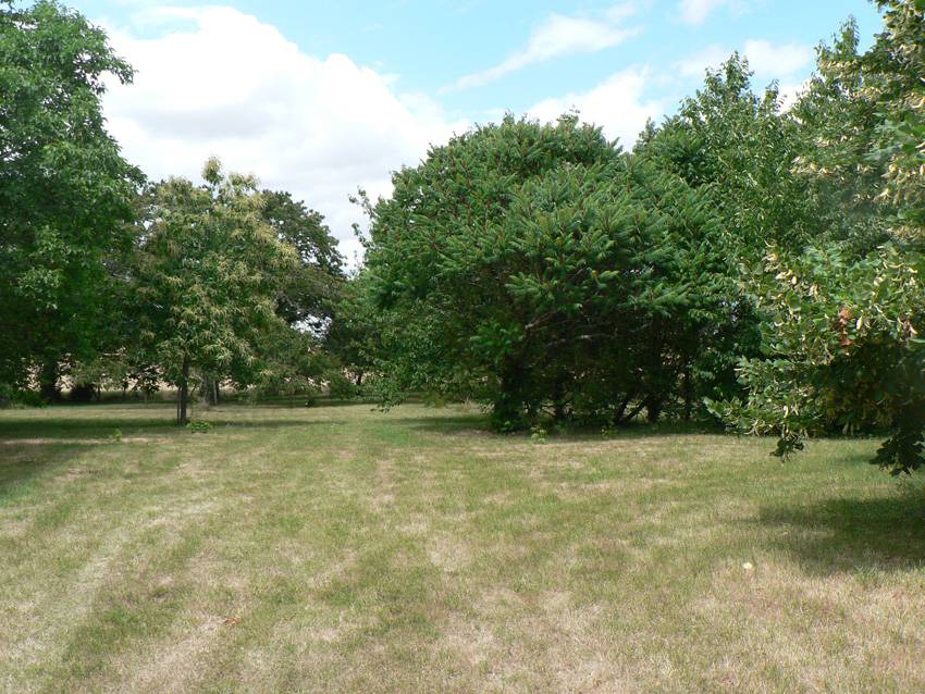 foto15