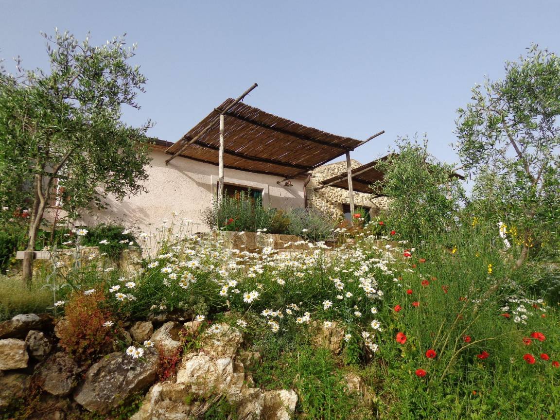 25 M² Apartamento ∙ 1 Habitación ∙ 3 Huéspedes - Saturnia