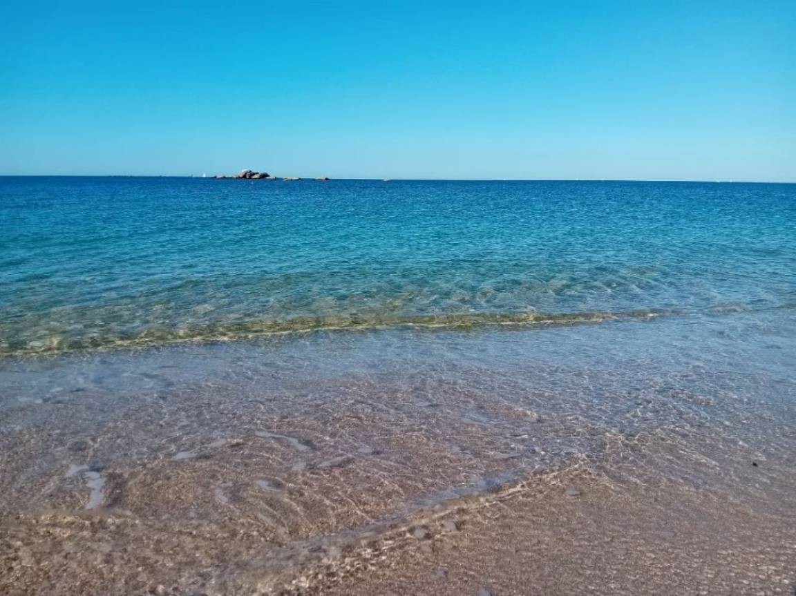 foto41