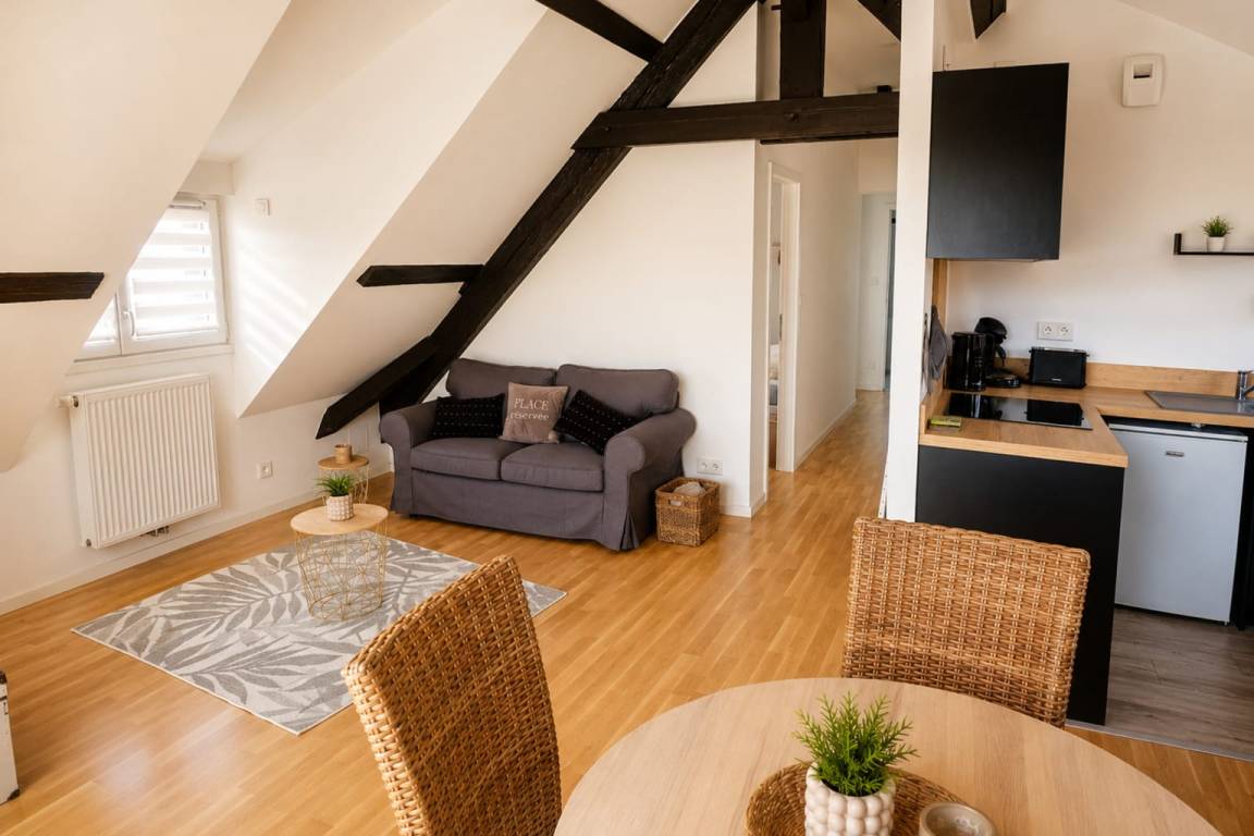 60 M² Apartamento ∙ 2 Habitaciones ∙ 4 Huéspedes - Brumath