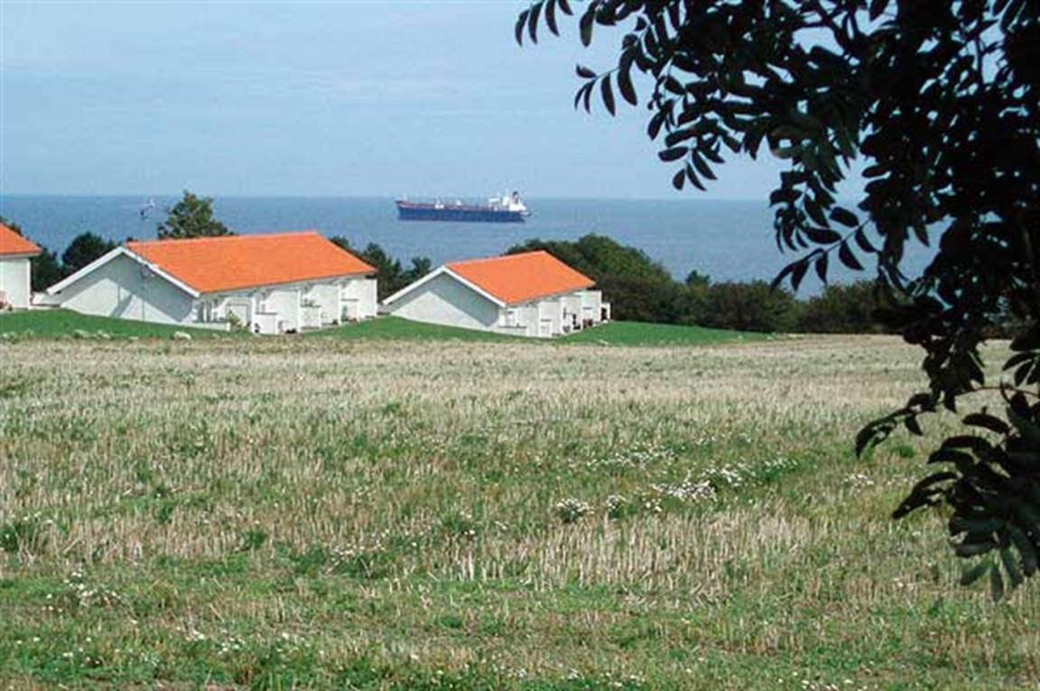 foto16