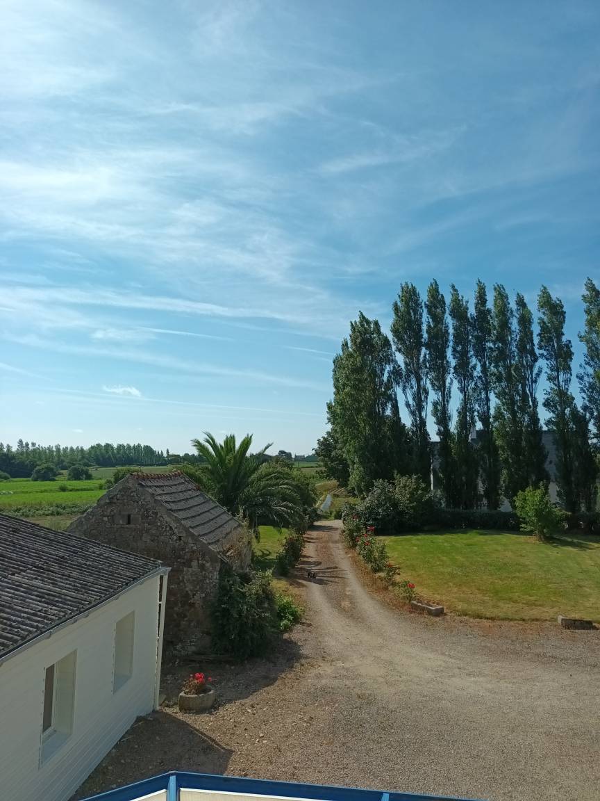 foto13