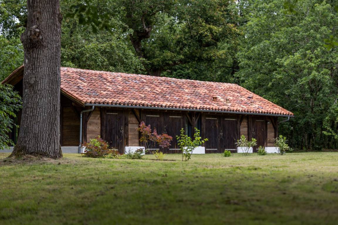 foto43
