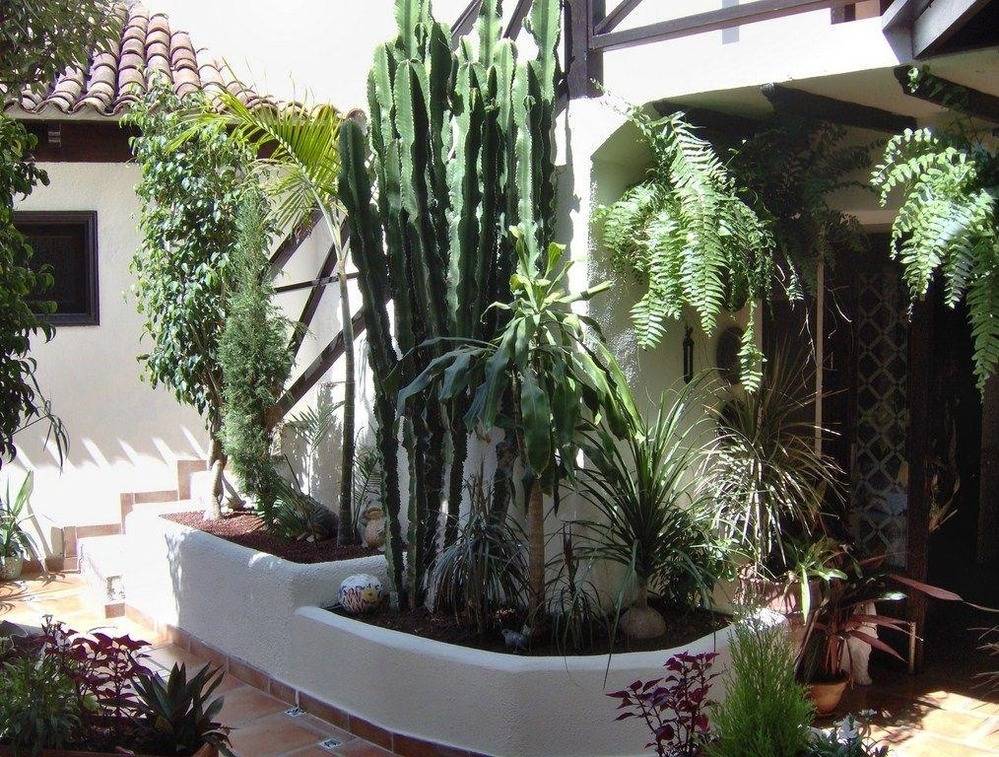 foto19
