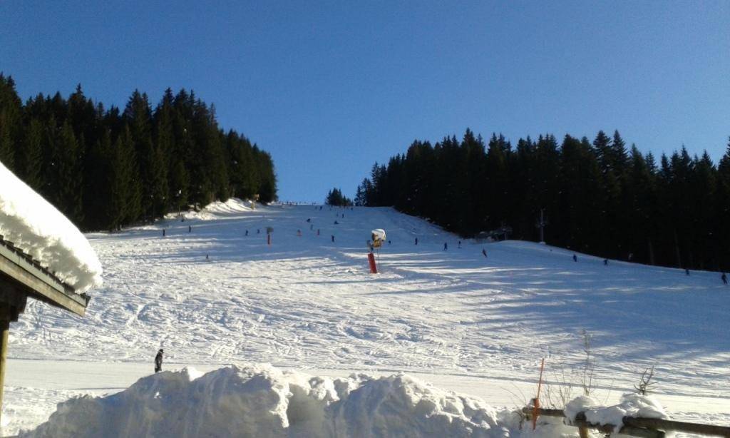 foto10