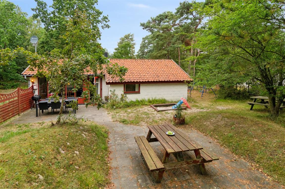 foto4