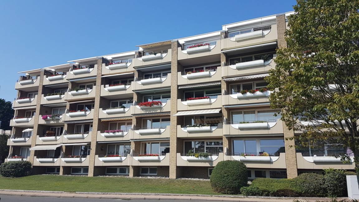 foto1