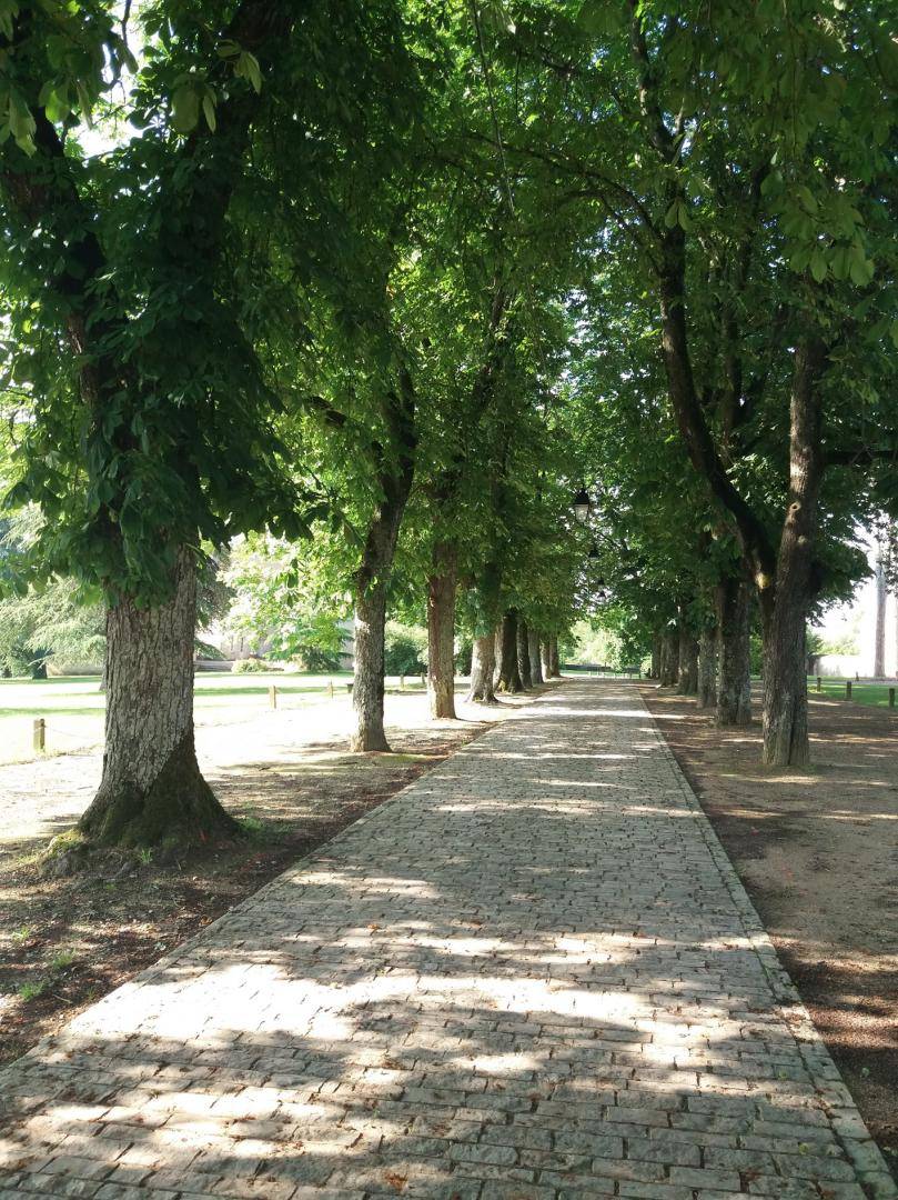 foto2